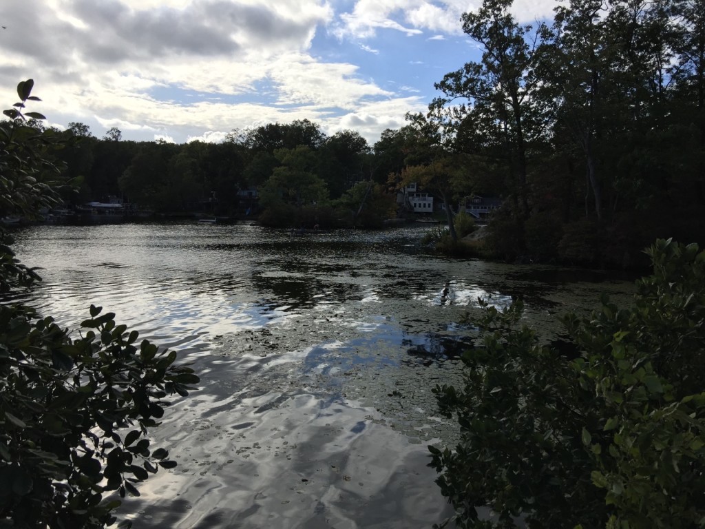 Cranberrylake Andover