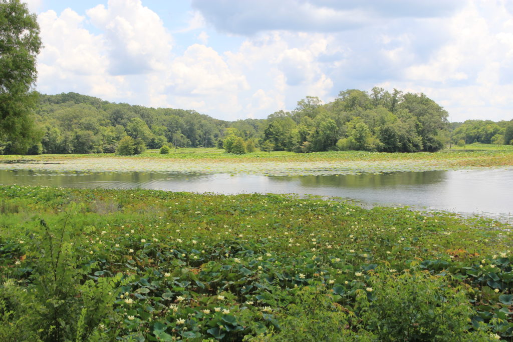 River Bend